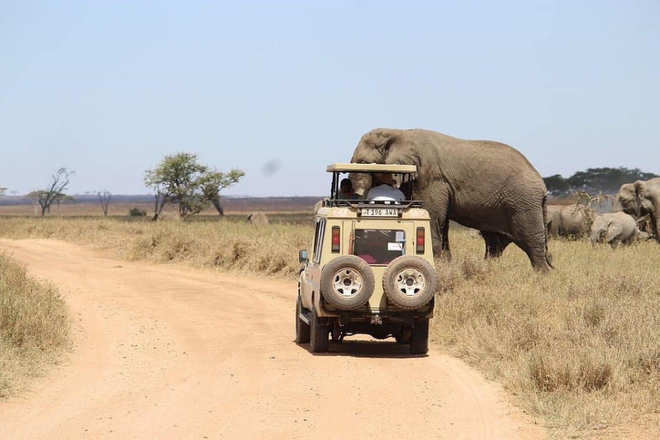 Day 1: Arrival, Transfer to Tarangire National Park for First Game Drive and Night Game Drive