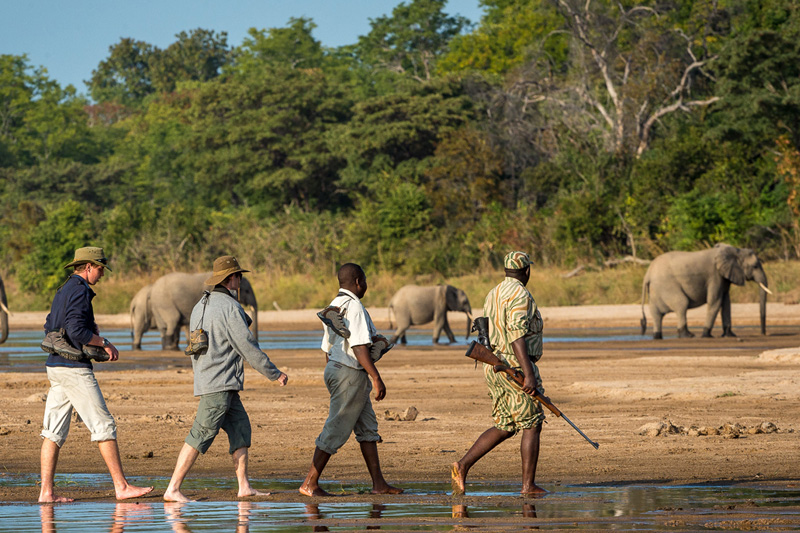 Day 2: Early Game Drive, Walking Safari and Departure