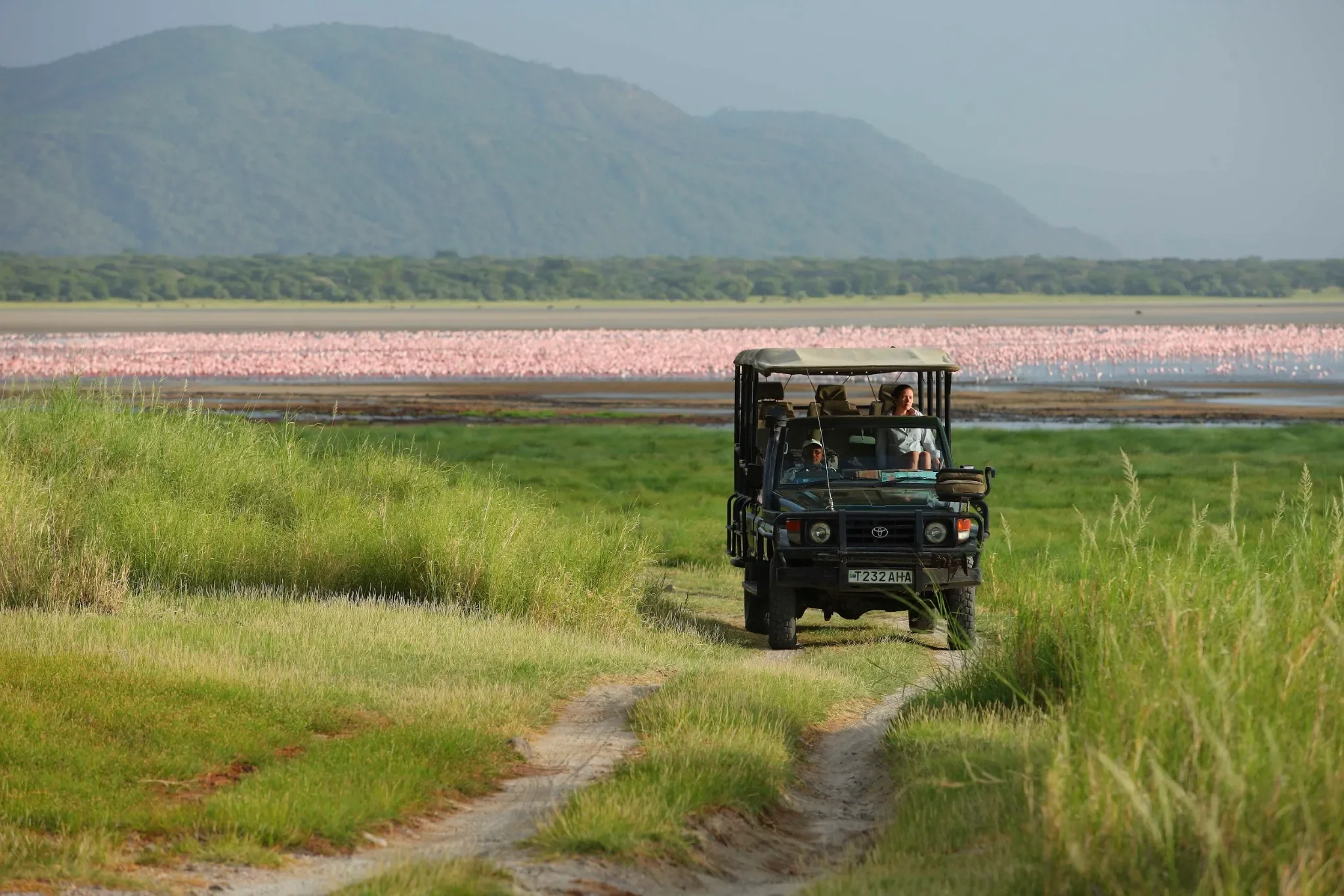 Day 2: Explore the Park, Birdwatching and Departure