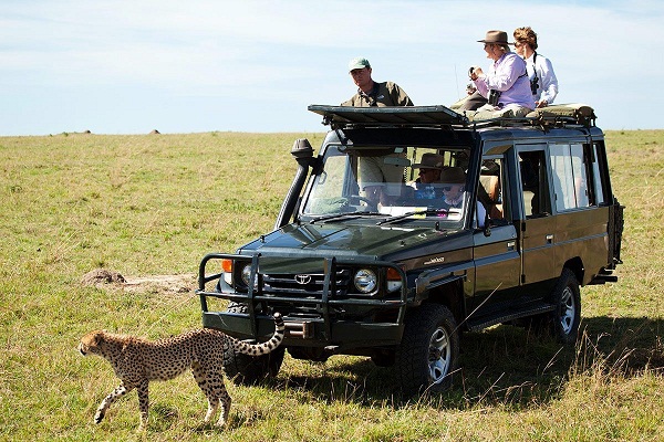 Day 1: Pickup, Transfer to Masai Mara and Afternoon Game Drive