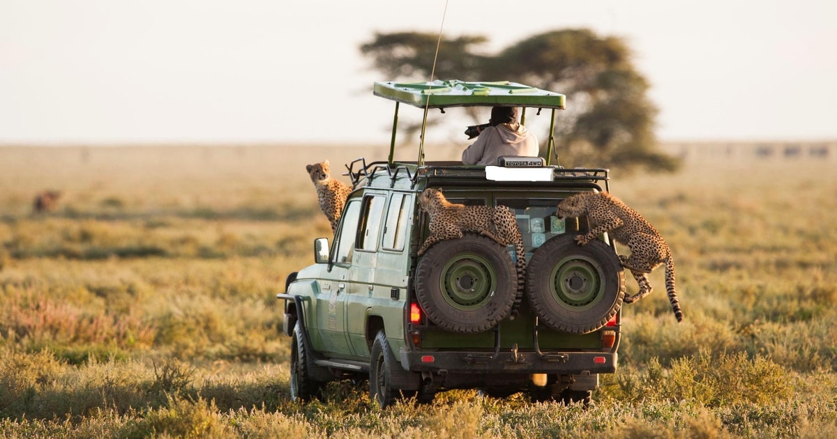 Day 2: Explore the Masai Mara with Big Five and Departure