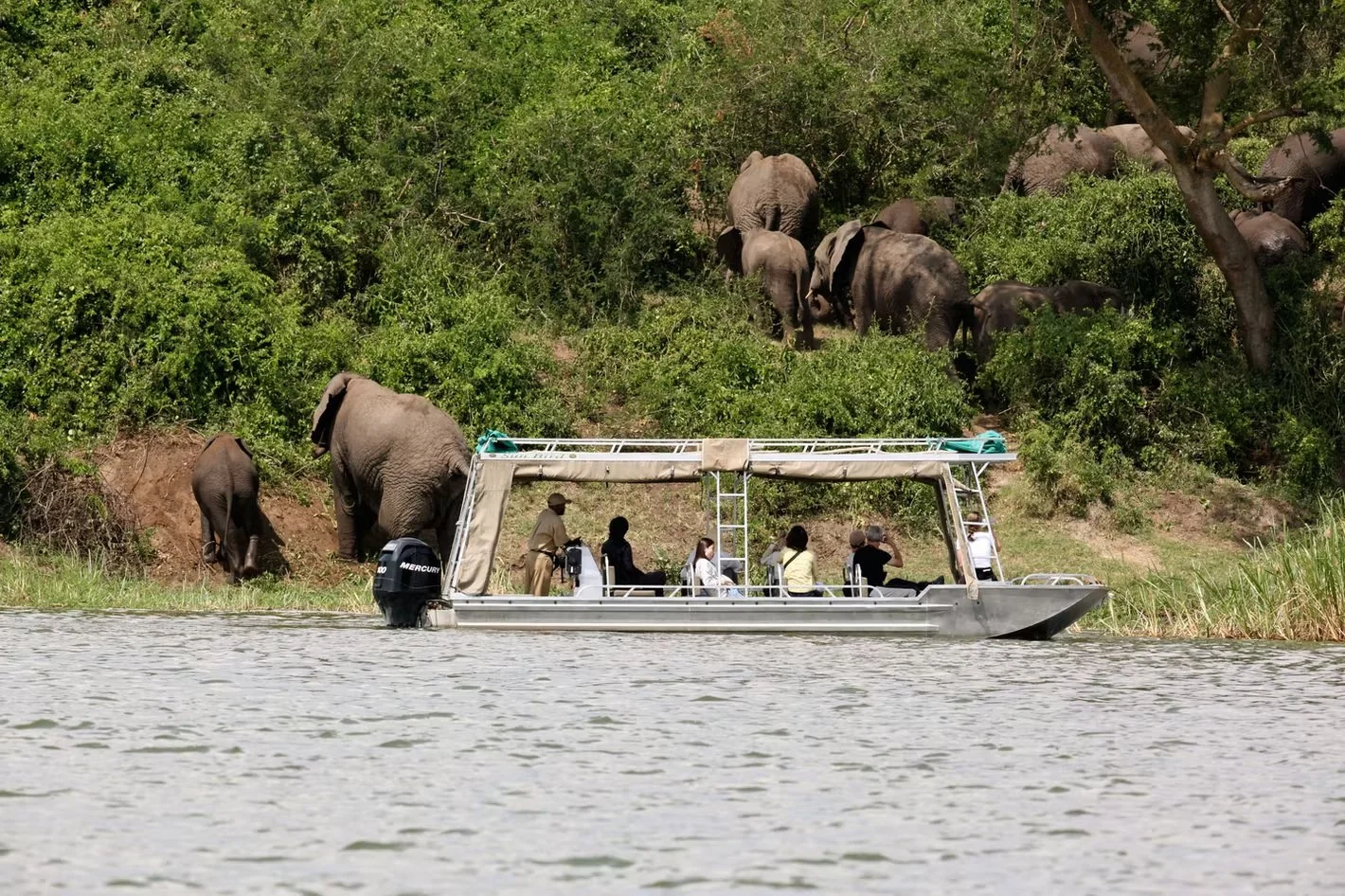 Day 2: Game Drive and Kazinga Channel Boat Cruise