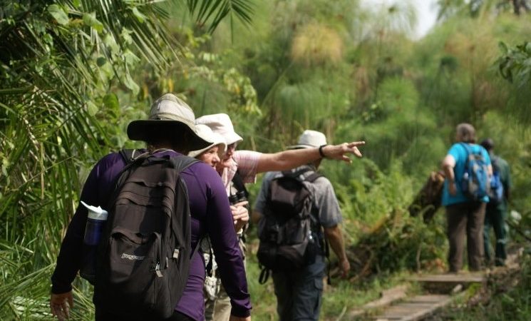 Day 3: Kibale Return to Kampala/Entebbe