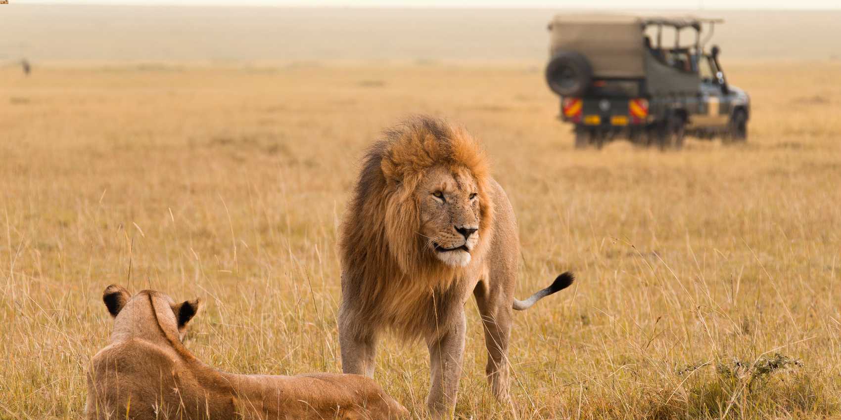 Day 2: Full Day Safari in Masai Mara