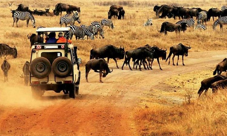 Day 3: Optional Village Visit and Return to Nairobi