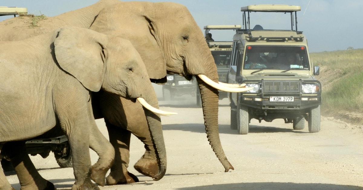 Day 1: Pickup from Nairobi, Proceed to Amboseli and Afternoon Game Drive