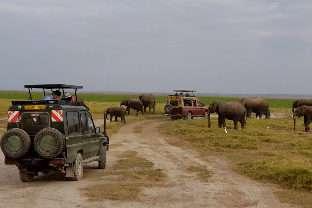 Day 2: Game Drives, Walking Safari and Transfer to Tsavo East Park