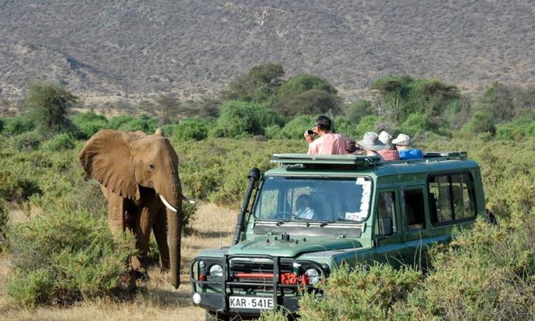 Day 4: Return to Nairobi or Drop Off at Mombasa