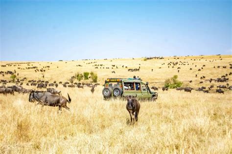 Day 2: Full Day Game Drives and Cultural Tour