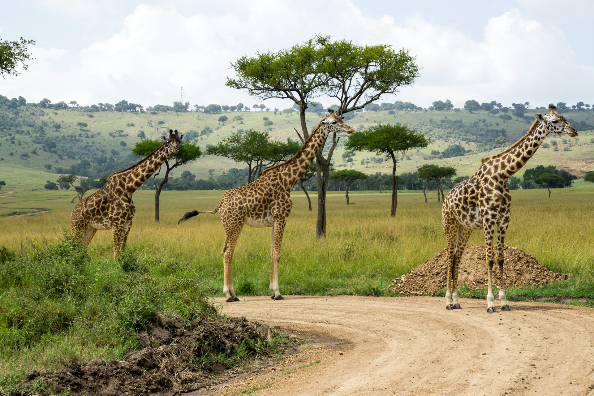 Day 2: Full Day Game Drives and Visit Mara River