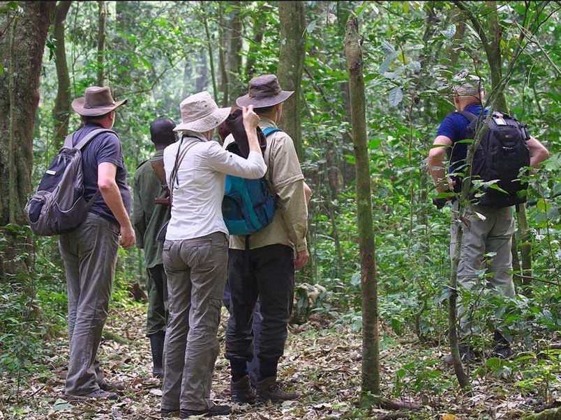 Day 6: Transfer to Kibale National Park and Bigodi Wetland Walk
