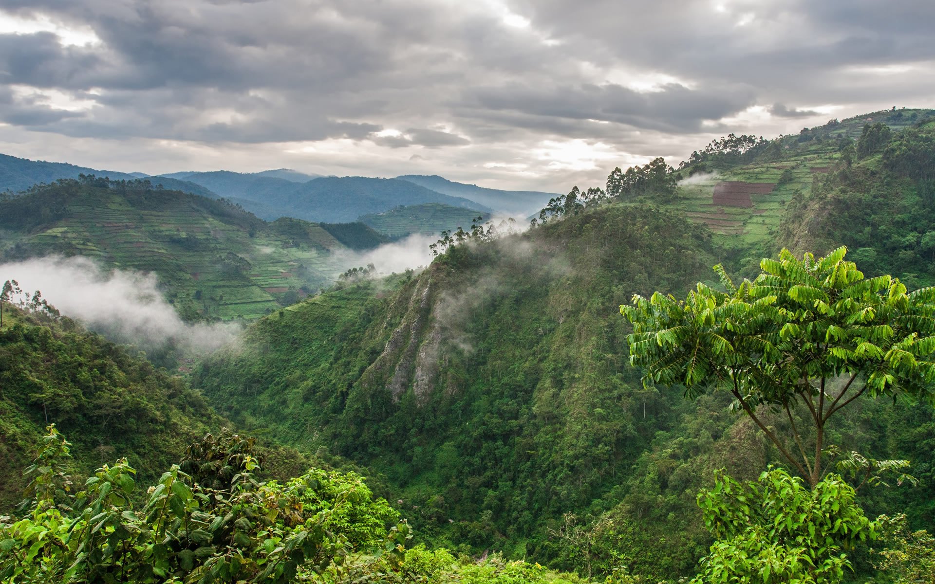 Day 10: Transfer to Bwindi Impenetrable National Park