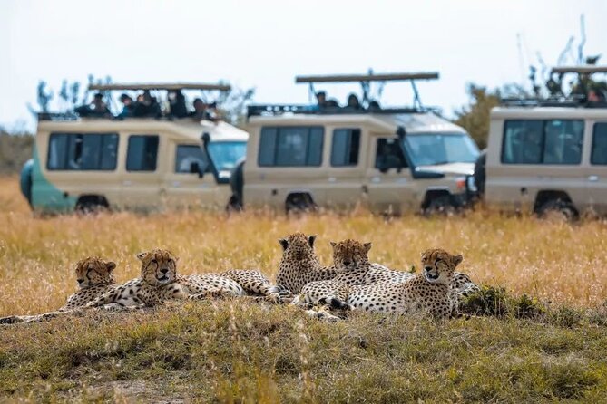 Day 1: Arrival, Transfer to Masai Mara