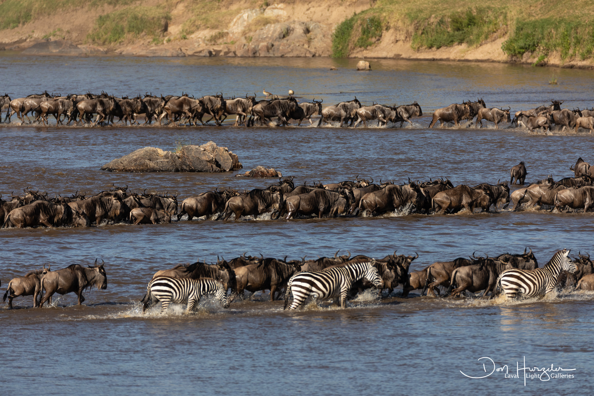 Day 2: Experience the Migration and Visit the Mara River