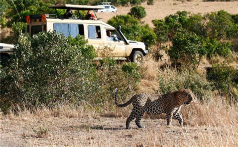 Day 4: Return to Nairobi and Short City Tour