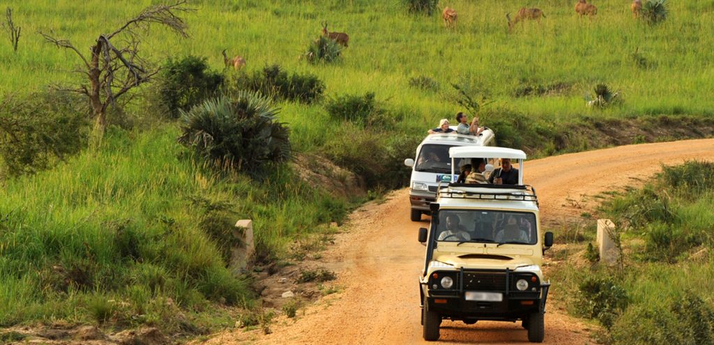 Day 4: Transfer Back to Kampala or Entebbe