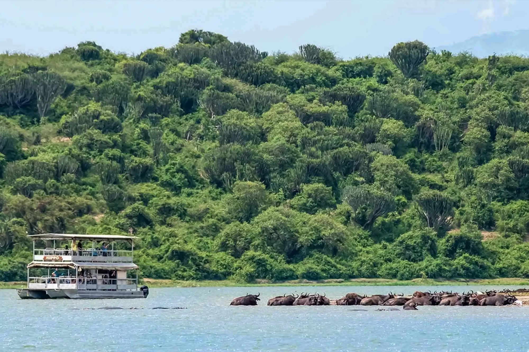 Day 3: Transfer to Queen Elizabeth National Park and Kazinga Channel Boat Cruise