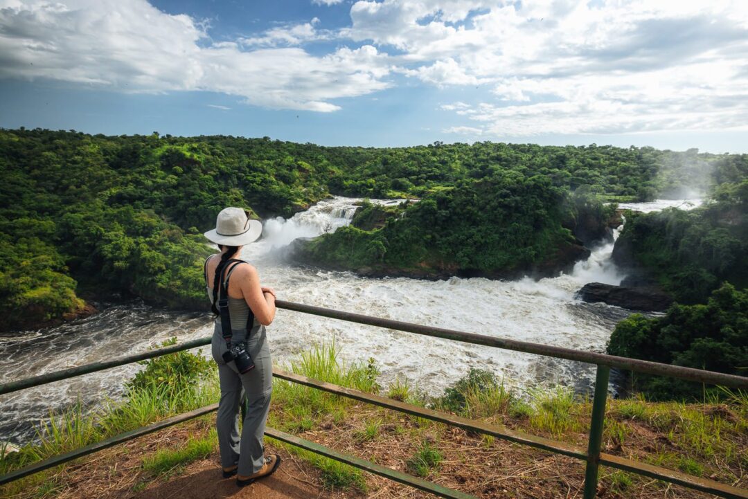 Day 3: Hike to the Top of Murchison Falls and Transfer to Kibale Forest National Park