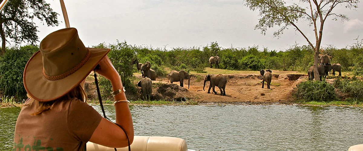 Day 1: Pick-up and Transfer to Queen Elizabeth National Park