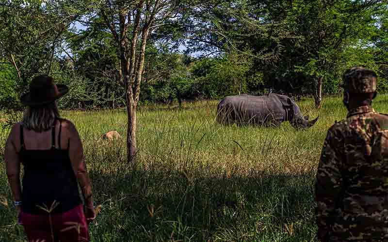 Day 1: Transfer to Murchison Falls National Park via Ziwa Rhino Sanctuary