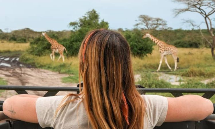 Day 2: Morning Game Drive and Lake Mburo Boat Cruise