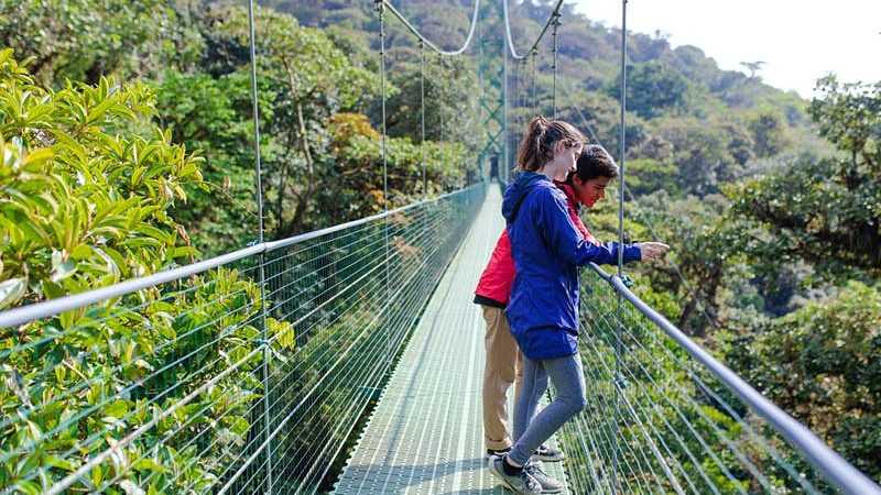 Day 2: Chimpanzee Trekking and Canopy Walk Adventure