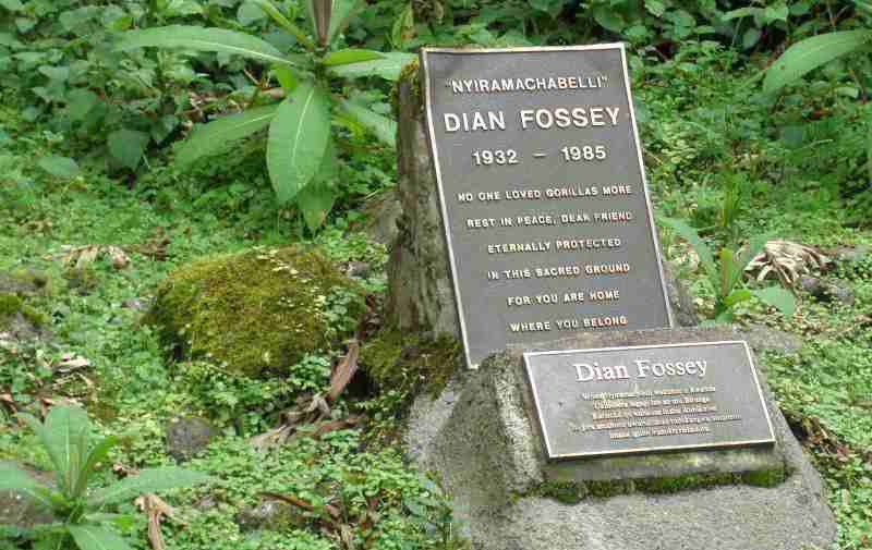 Day 4: Visit Dian Fossey Tomb and Return to Kigali for Departure