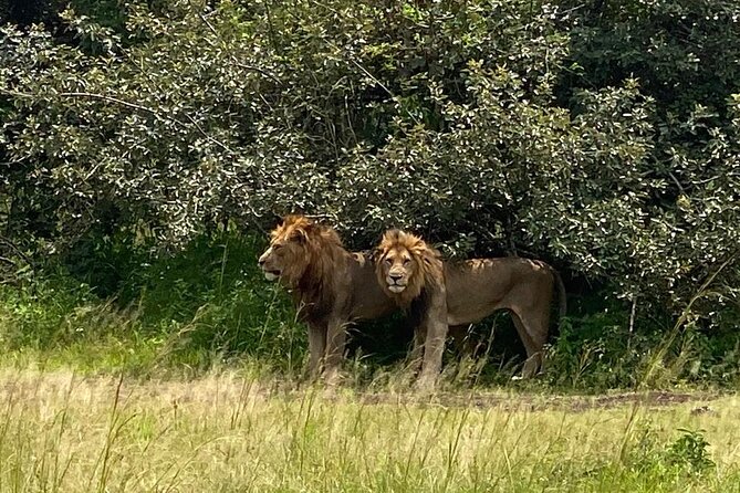 Day 3: Big Five Game Drives and Boat Safari on Lake Ihema