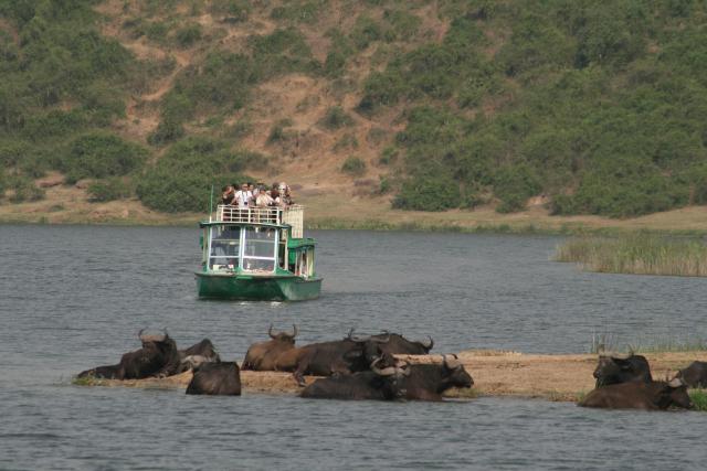 Day 2: Transfer to Queen Elizabeth National Park and Boat Cruise