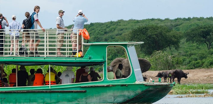 Day 6: Transfer to Queen Elizabeth National Park and Kazinga Channel Boat Cruise