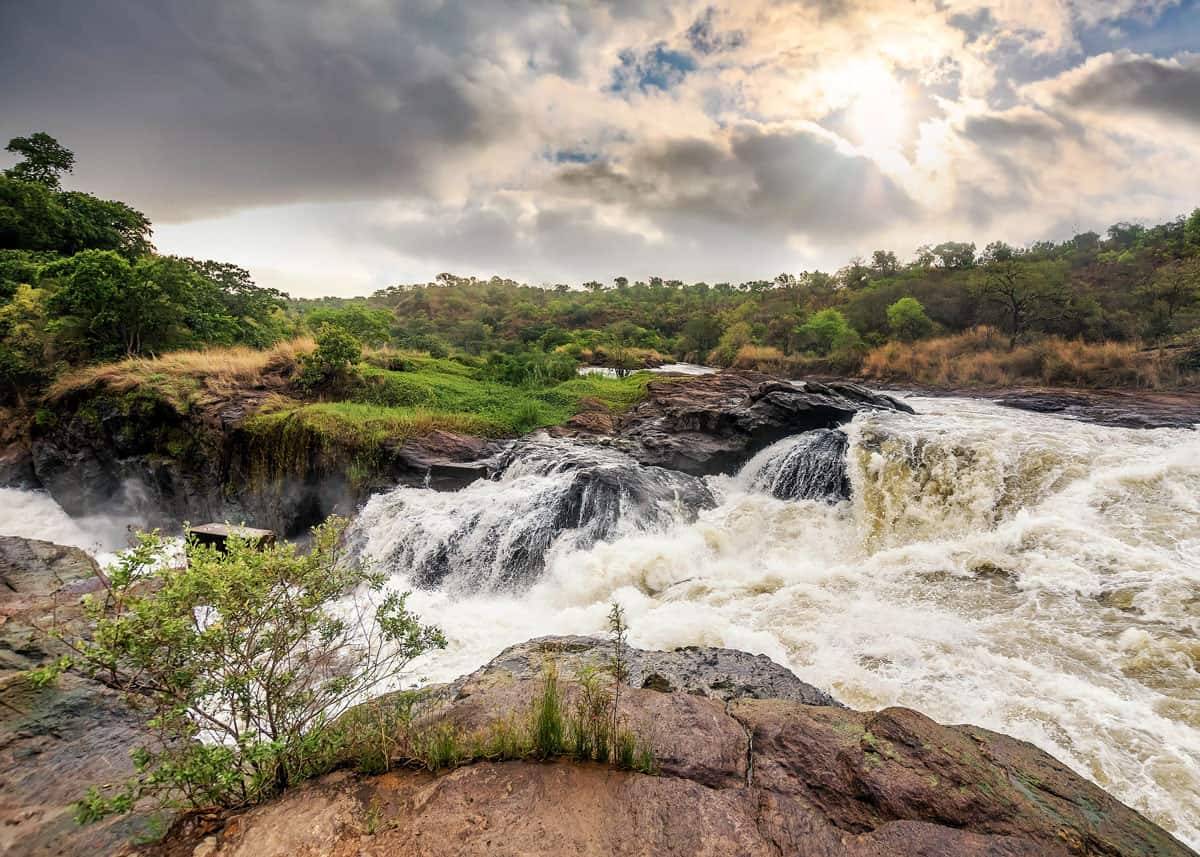Day 4: Transfer to Murchison Falls National Park and Hike to the Top of the Falls