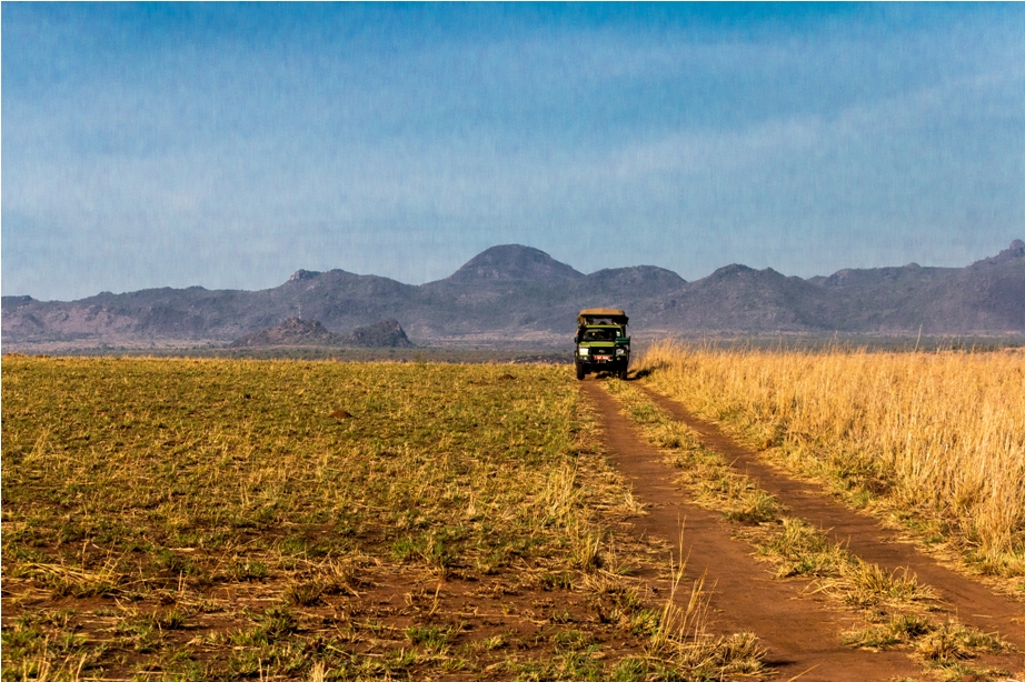 Day 7: Full-Day Game Drive with Packed Lunch