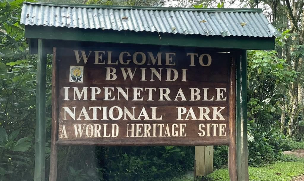 Day 1: Arrival and Transfer to Bwindi National Park