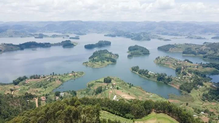 Day 3: Transfer to Kibale National Park and Bigodi Walk