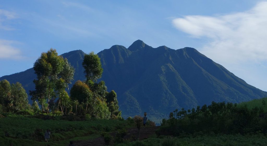 Day 1: Arrival in Rwanda, City Tour and Transfer to Volcanoes