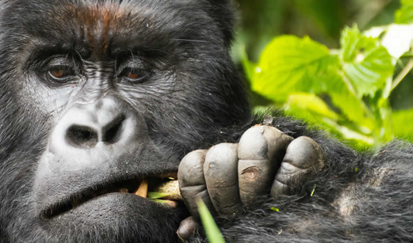 Day 6: Return to Kigali