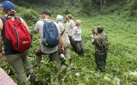 Day 1: Arrival and Transfer to Volcanoes National Park