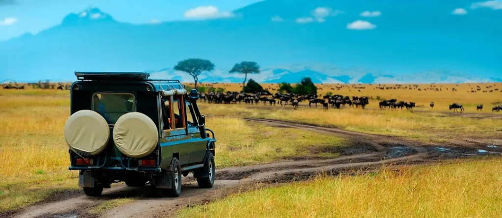 Day 1: Pickup, Transfer to Serengeti and First Game Drive