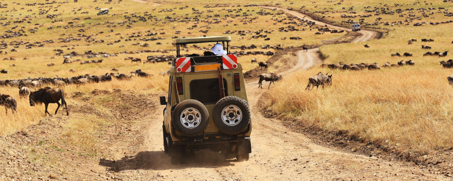 Day 2: Full Day Explore Serengeti