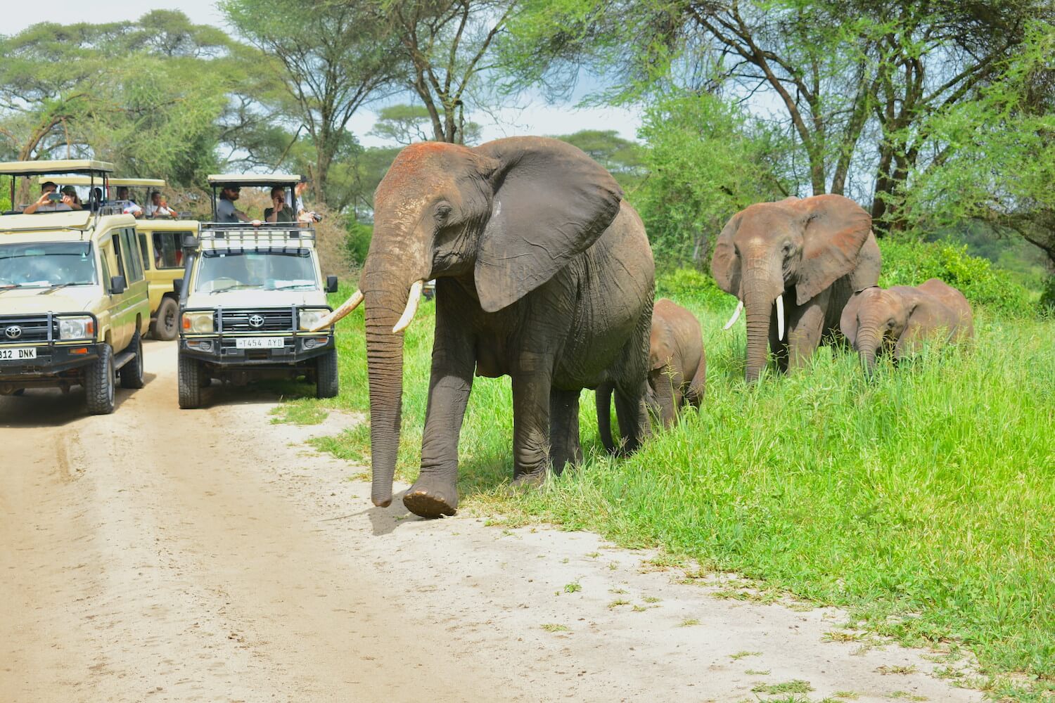 Day 1: Arusha to Tarangire