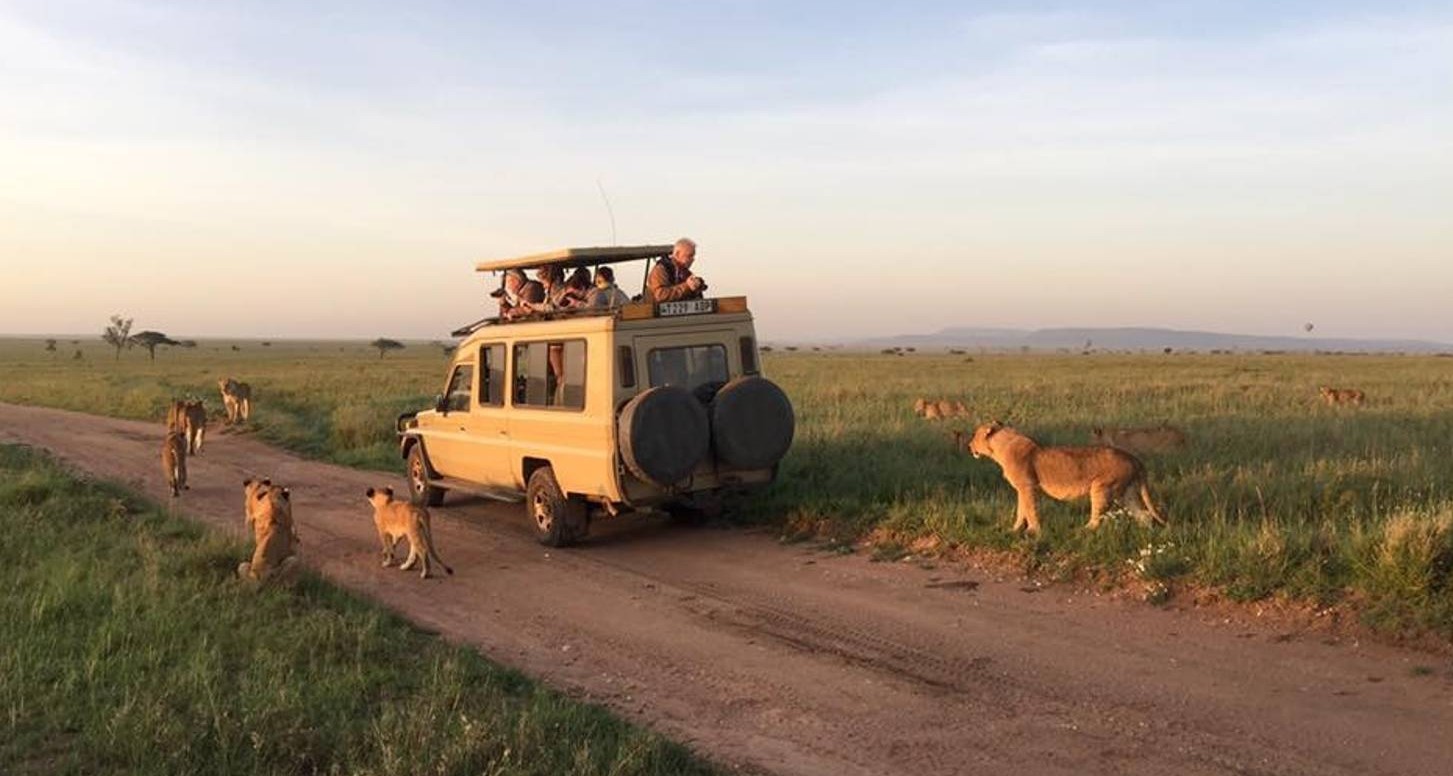 Day 2: Serengeti Arrival and Evening Game Drive