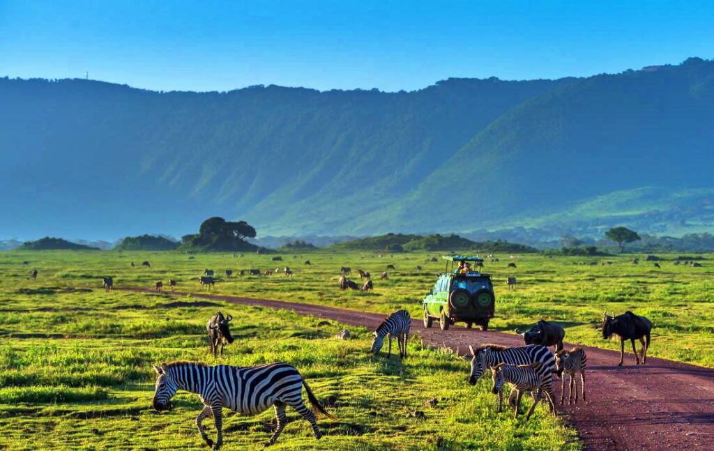 Day 5: Final Adventure and Return to Arusha