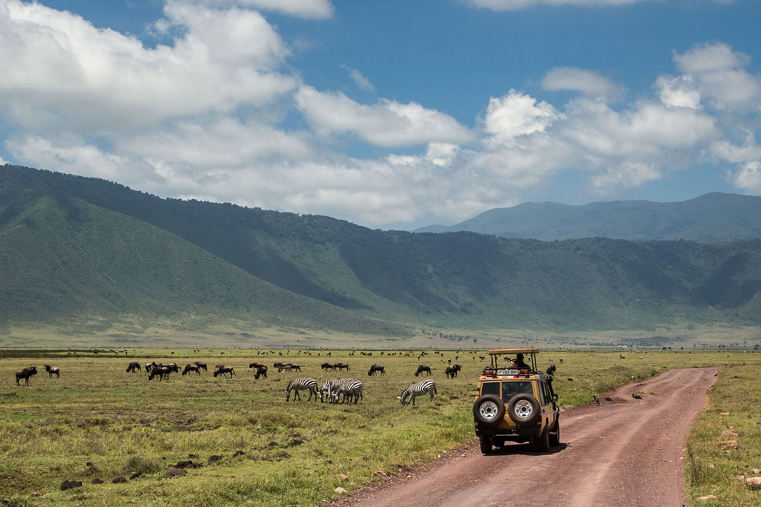 Day 4: Game Drives in Ngorongoro Crater and End of Safari