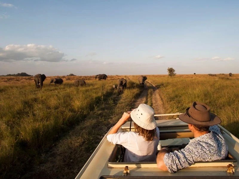 Day 1: Arrival in Arusha and Transfer to Serengeti