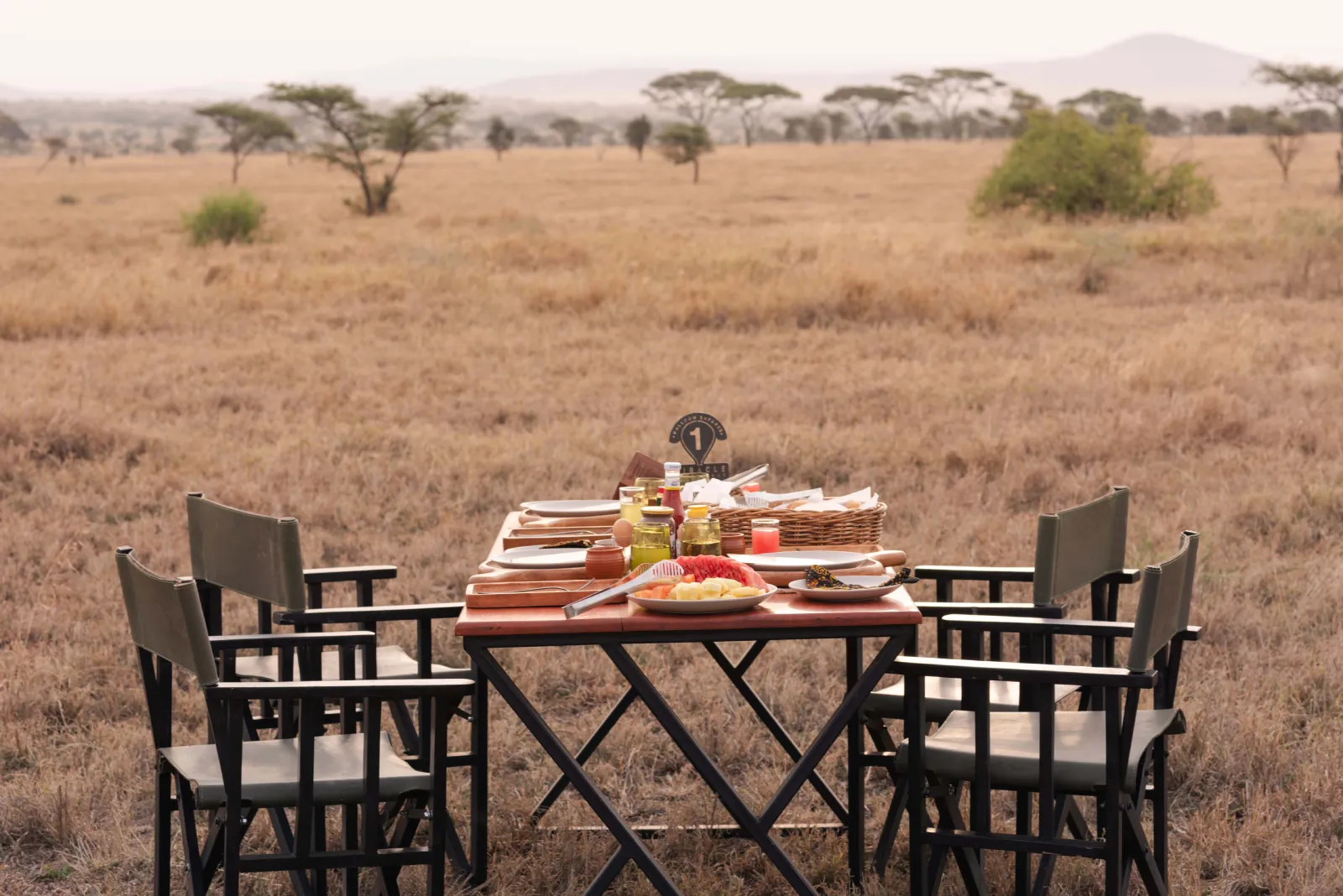 Day 2: Full Day Serengeti Exploration with Bush Lunch