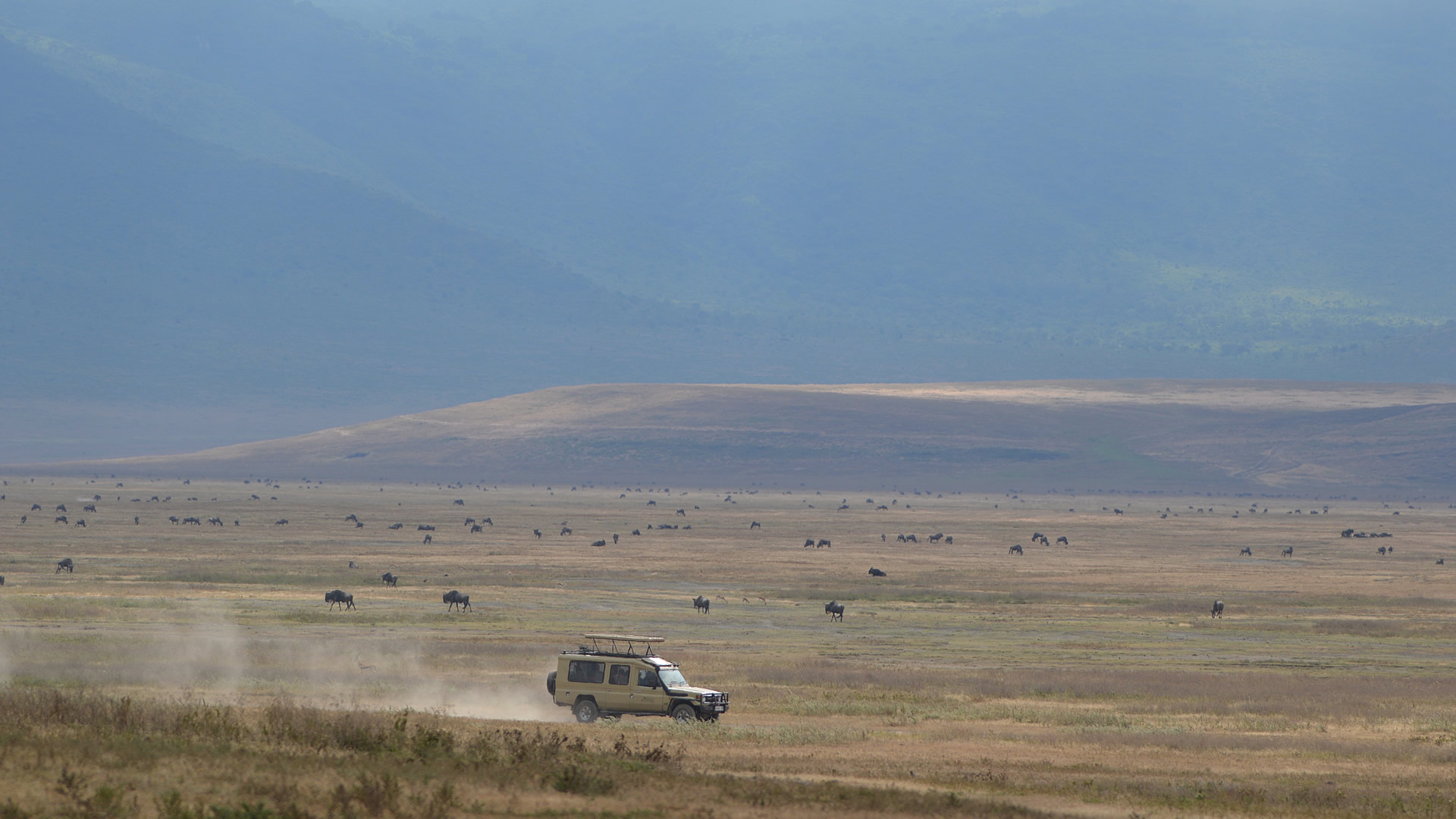 Day 4: Ngorongoro Crater Game Drive and Departure