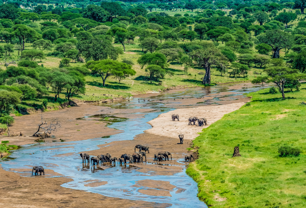 Day 2: Transfer to Tarangire National Park