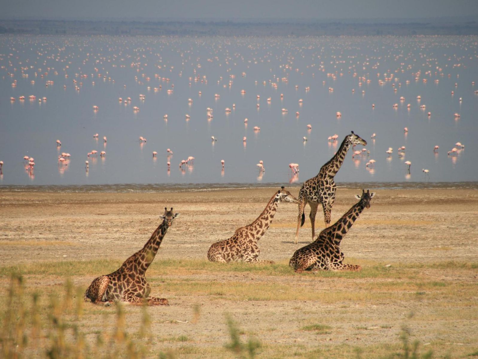 Day 4: Lake Manyara National Park