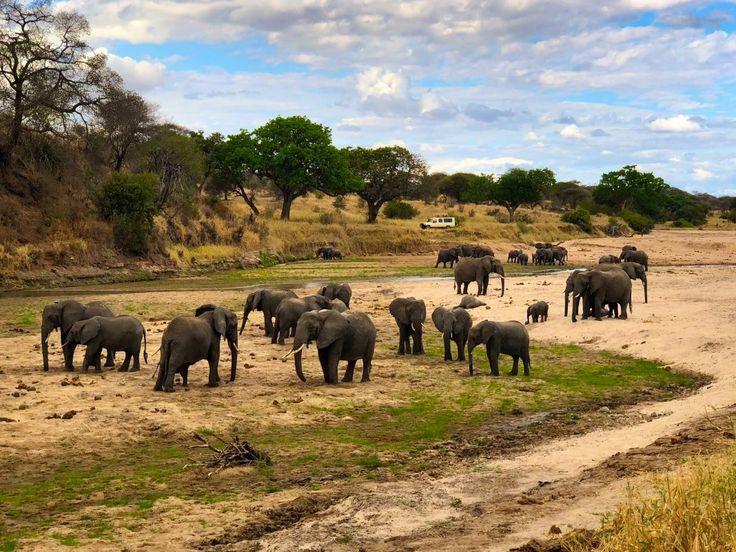 Day 1: Arusha to Tarangire National Park