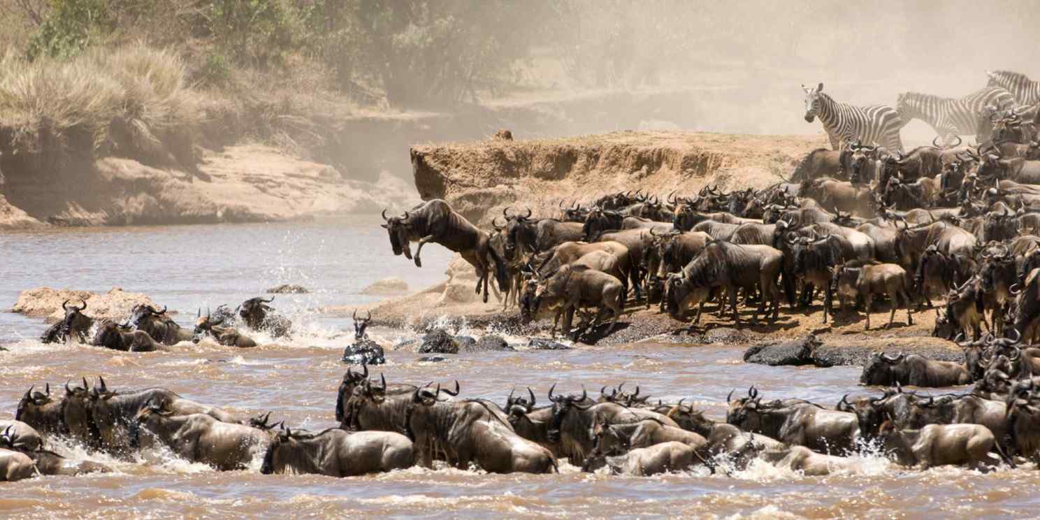 Day 4: Mara River Cross Point